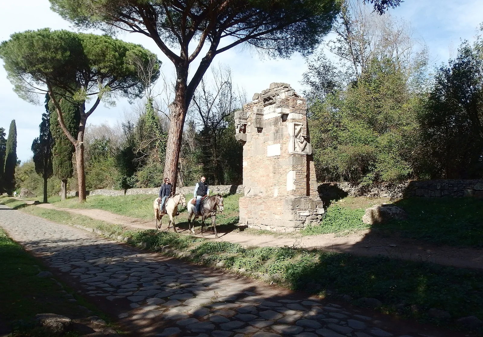 Il basolato della Via Appia Antica fra i pini